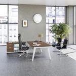 Bureau_direction_steely_manager_6