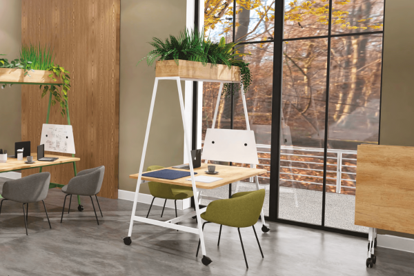 Bureau coworking alto 15