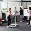 Bureau wariant compact maro 14
