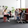 Bureaux wariant maro 14