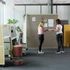 Bureaux wariant maro 20