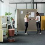 Bureaux wariant maro 20