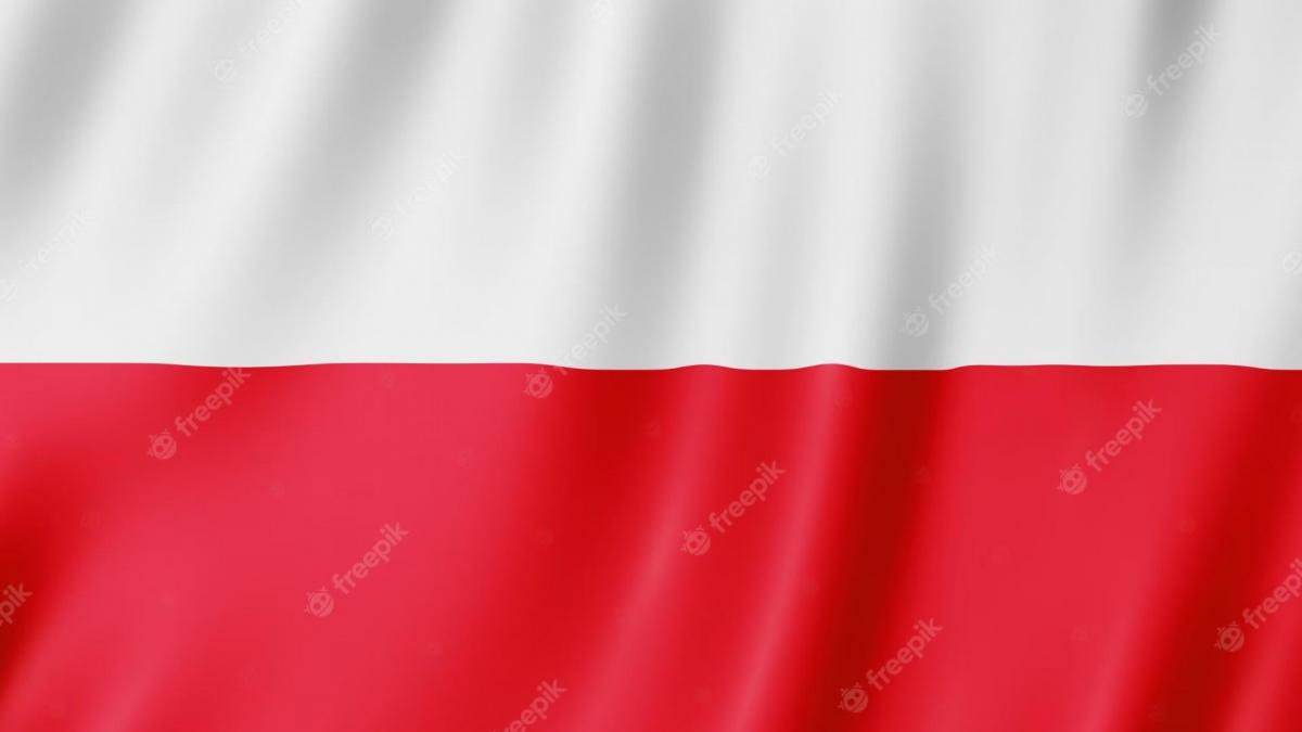 Drapeau pologne illustration du drapeau polonais agitant 2227 702
