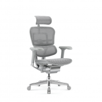 Ergohuman elite color 04