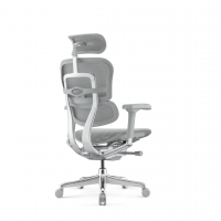 Ergohuman elite color 05