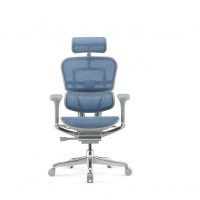 Ergohuman elite color 06