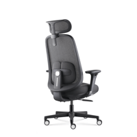 Fauteuil 269 mt internationnal 01