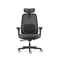 Fauteuil 269 mt internationnal 02