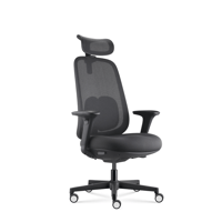 Fauteuil 269 mt internationnal 03