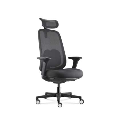 Fauteuil 269 mt internationnal 03