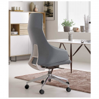 Fauteuil direction big fedo 06