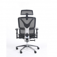 Fauteuil direction ergostar 03