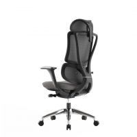 Fauteuil direction ergostar ultra 01