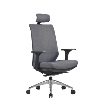 Tecsy platinium 01