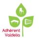 Valdelia